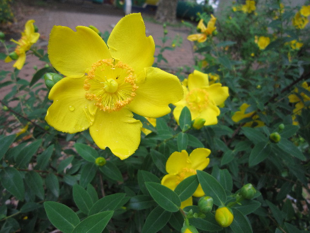 ファイル 1822-3.jpg