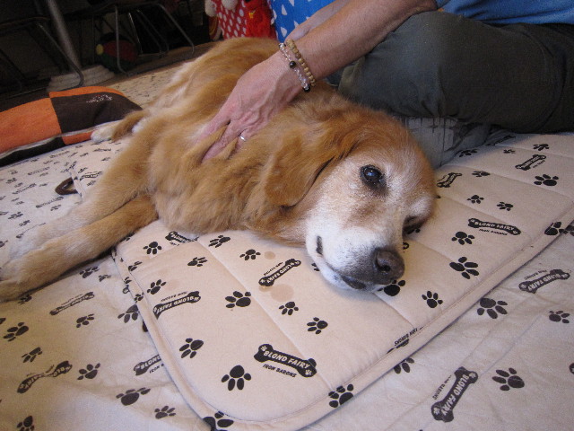 ファイル 1824-4.jpg