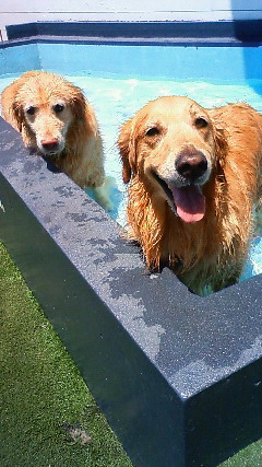 ファイル 1828-4.jpg