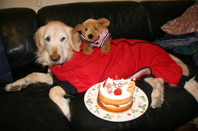 ファイル 183-1.jpg