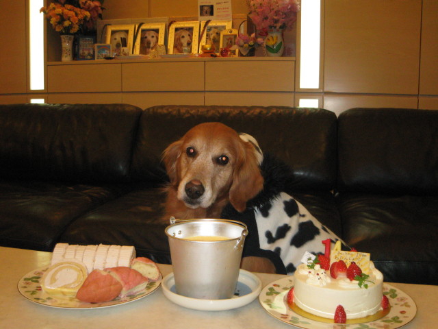 ファイル 183-4.jpg