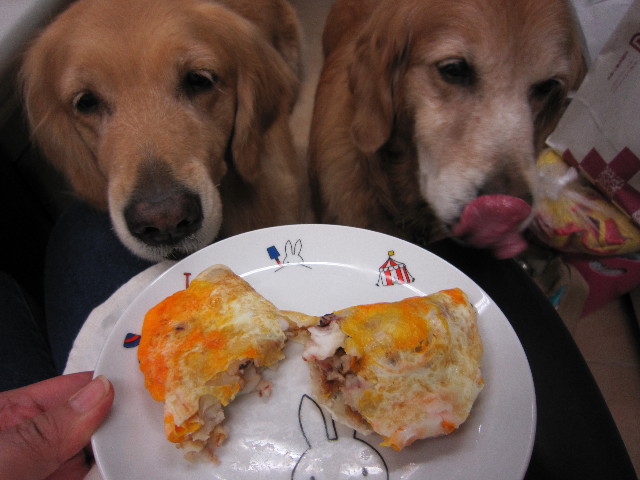 ファイル 1830-2.jpg