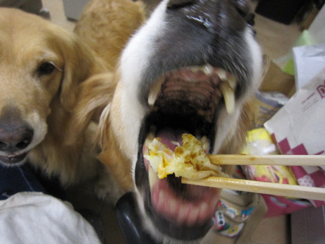 ファイル 1830-3.jpg