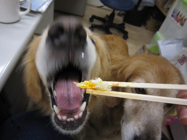 ファイル 1830-4.jpg