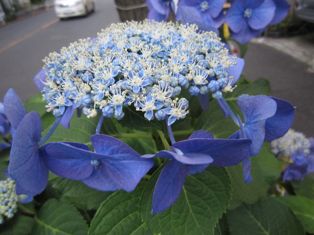 ファイル 1833-5.jpg