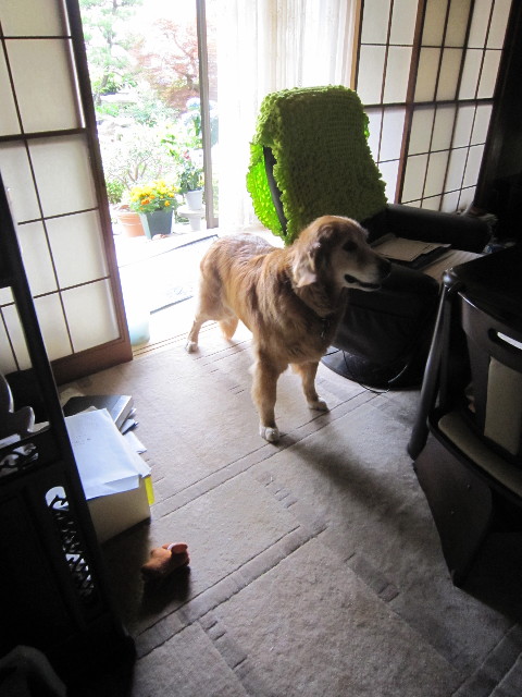 ファイル 1834-5.jpg