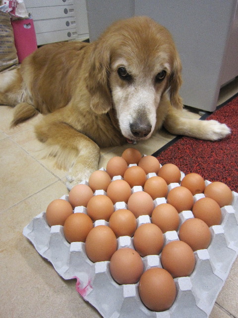 ファイル 1835-5.jpg