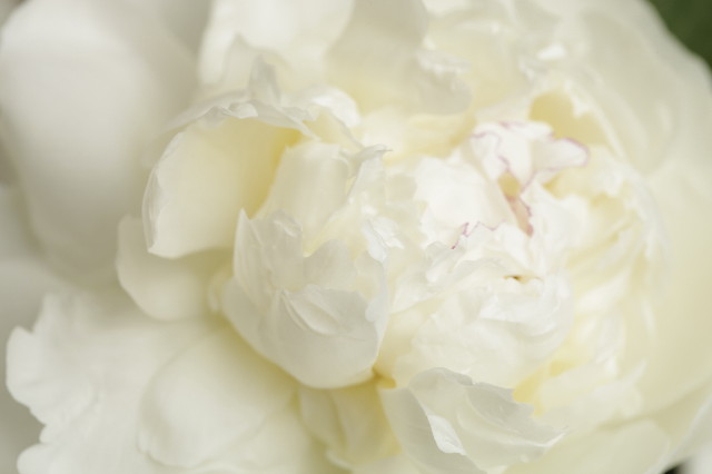 ファイル 1836-1.jpg