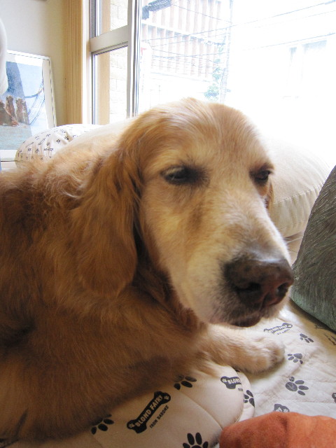 ファイル 1837-3.jpg