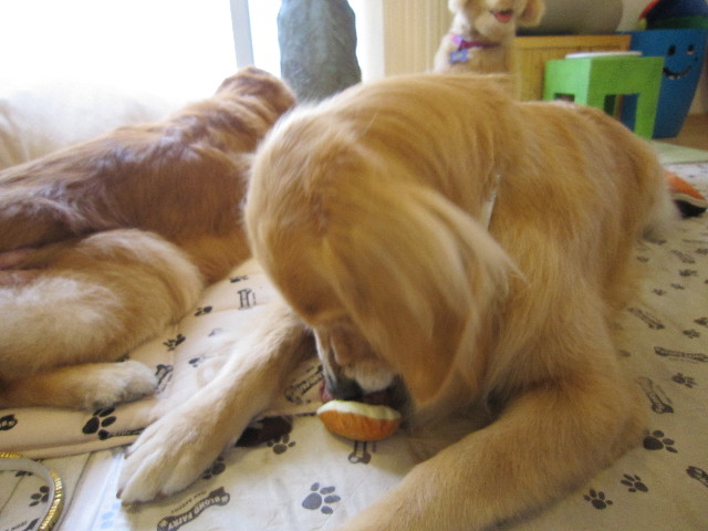 ファイル 1837-4.jpg