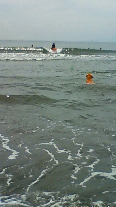 ファイル 1837-5.jpg