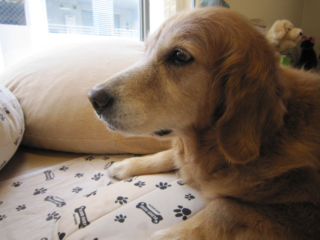 ファイル 1838-2.jpg