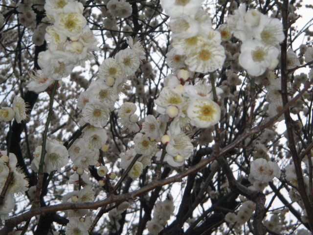 ファイル 184-4.jpg