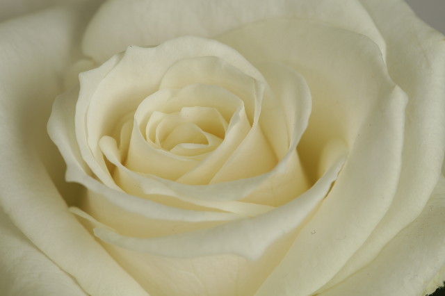 ファイル 1846-2.jpg