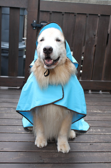 ファイル 1848-3.jpg