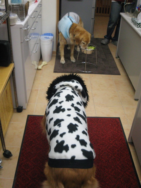 ファイル 185-1.jpg