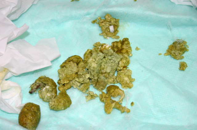 ファイル 185-4.jpg