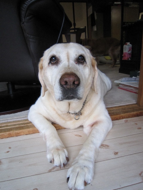 ファイル 1850-4.jpg