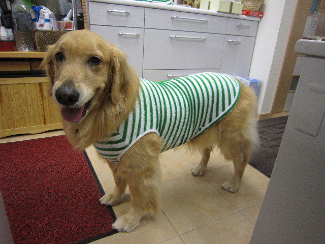 ファイル 1853-2.jpg