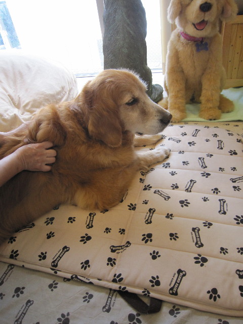 ファイル 1853-3.jpg