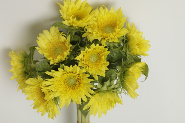 ファイル 1855-4.jpg