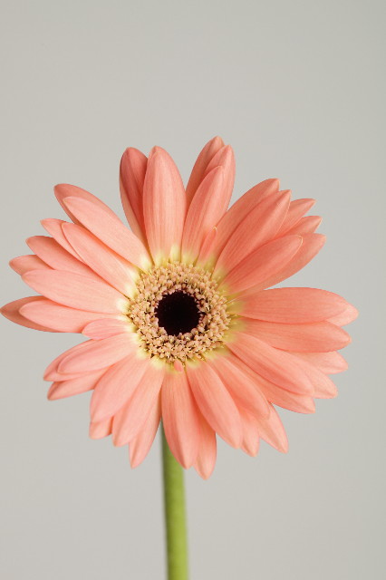 ファイル 1855-5.jpg