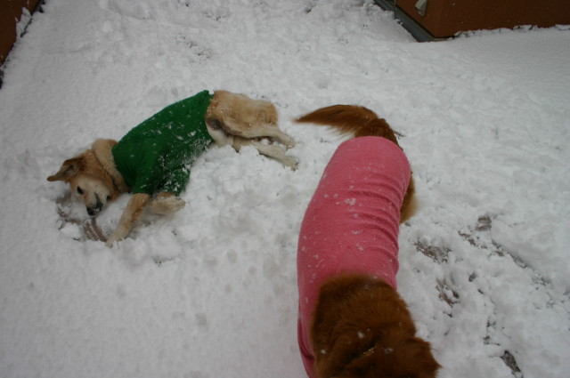 ファイル 186-1.jpg