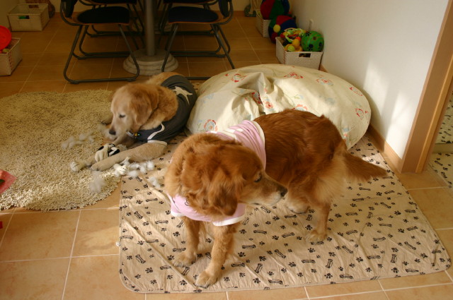 ファイル 186-3.jpg