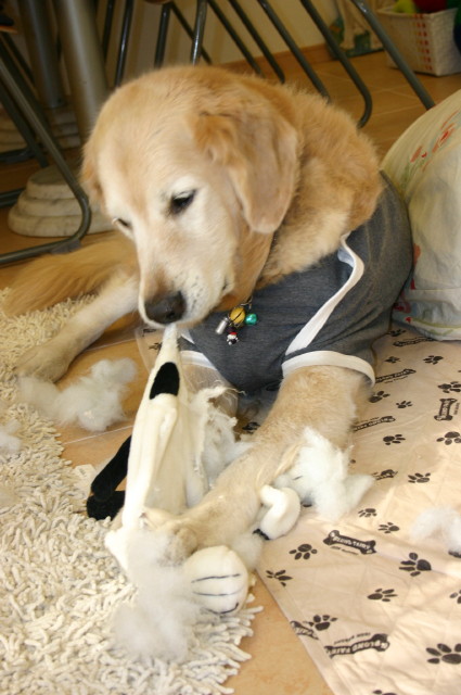 ファイル 186-4.jpg