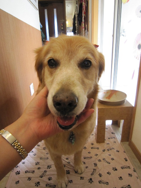 ファイル 1862-4.jpg