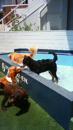 ファイル 1863-1.jpg