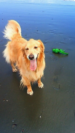 ファイル 1863-2.jpg