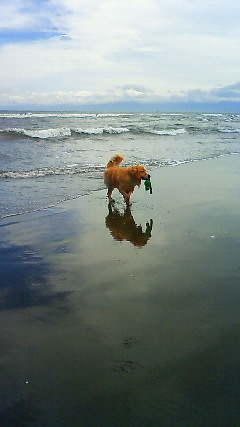 ファイル 1863-3.jpg