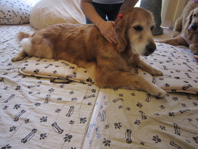 ファイル 1864-2.jpg