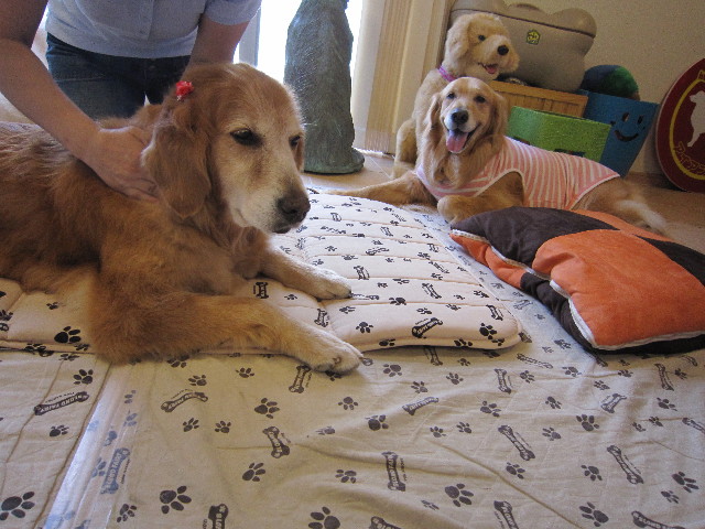 ファイル 1864-3.jpg