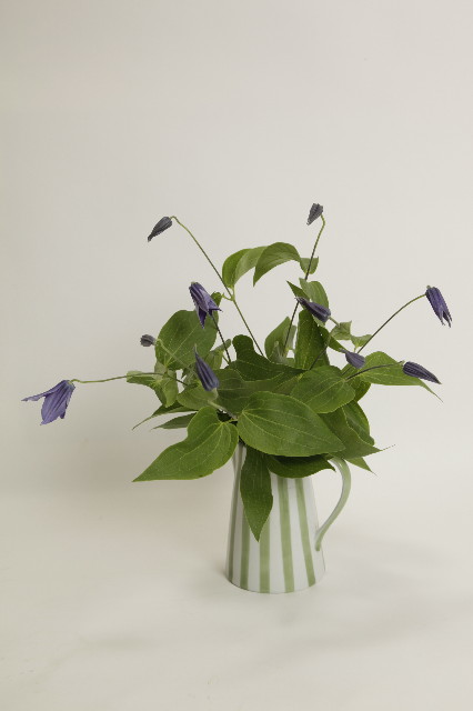 ファイル 1864-4.jpg