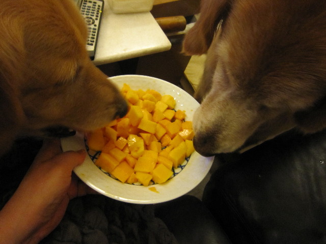 ファイル 1868-4.jpg