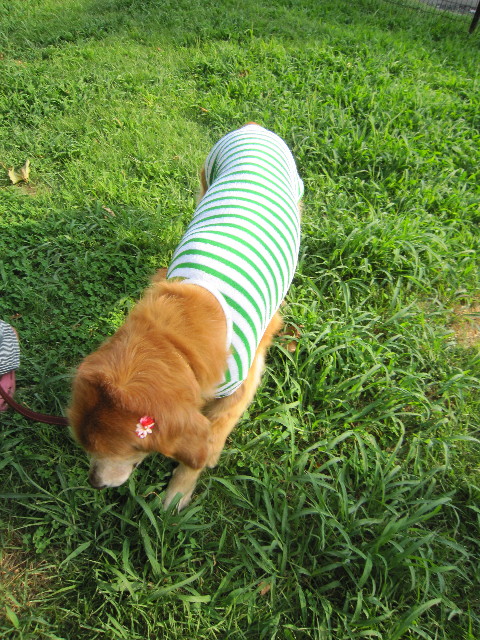 ファイル 1869-2.jpg