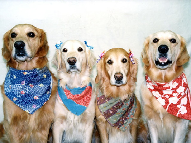 ファイル 187-1.jpg