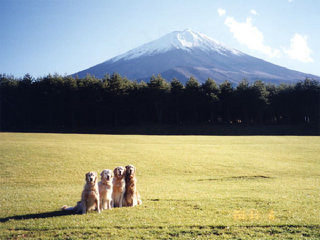 ファイル 187-2.jpg