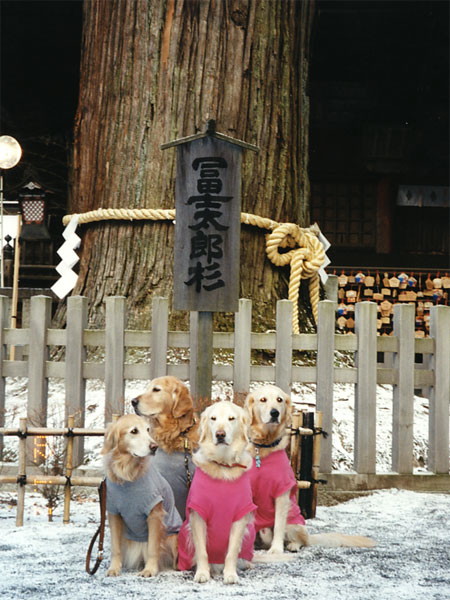 ファイル 187-3.jpg