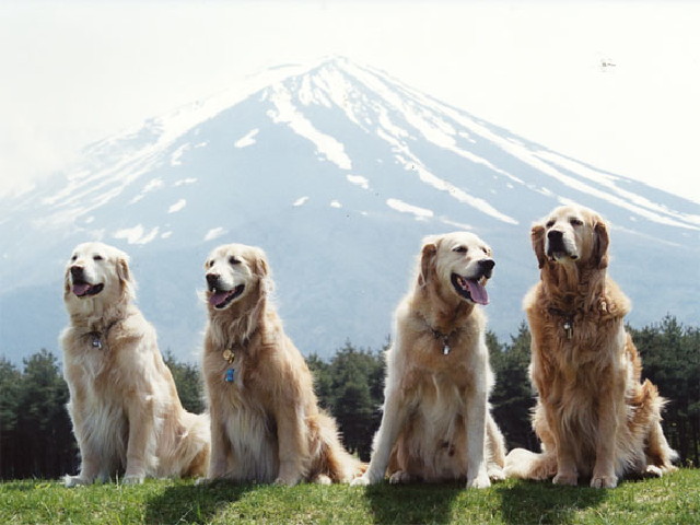 ファイル 187-4.jpg