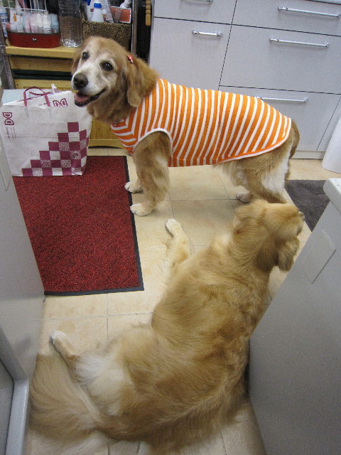 ファイル 1870-3.jpg