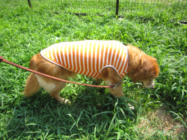 ファイル 1870-4.jpg