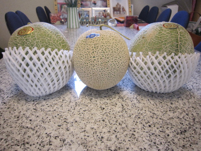 ファイル 1871-2.jpg