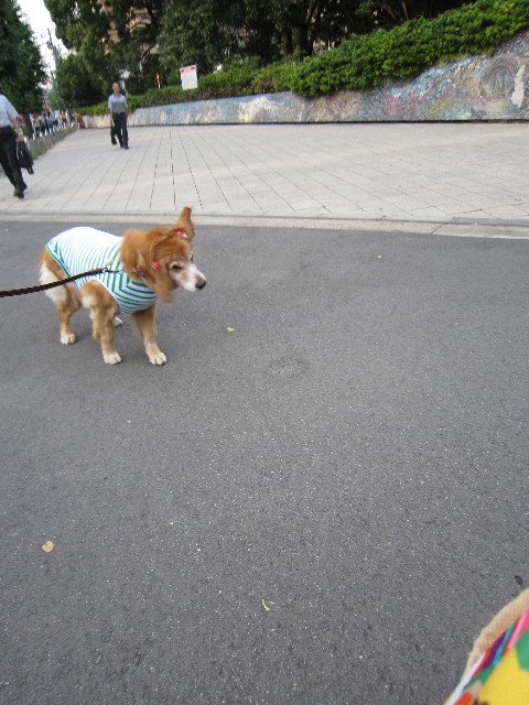 ファイル 1872-2.jpg