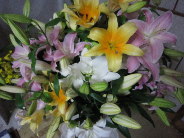 ファイル 1872-5.jpg