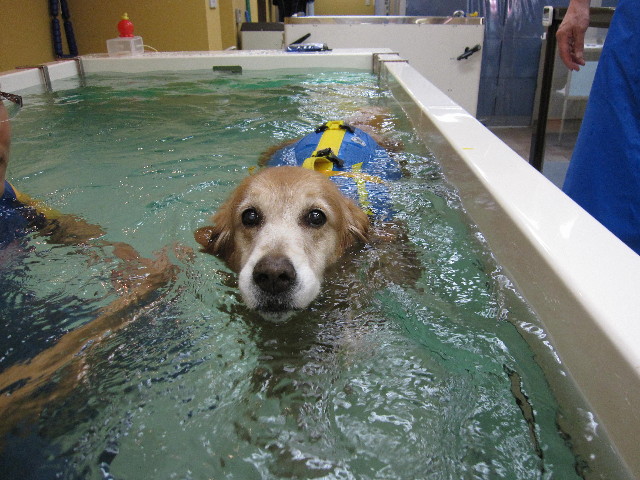 ファイル 1873-1.jpg