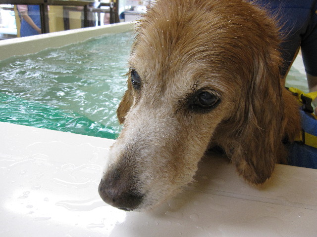 ファイル 1873-4.jpg