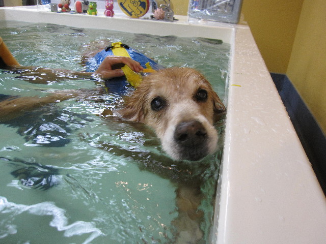 ファイル 1873-5.jpg